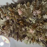 Domaine Caloin - 度假居 Echinghen
